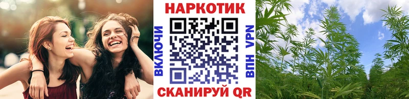 Сколько стоит Кувандык ГАШИШ Псилоцибиновые грибы Меф мяу мяу