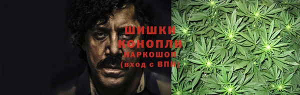 PSILOCYBIN Баксан