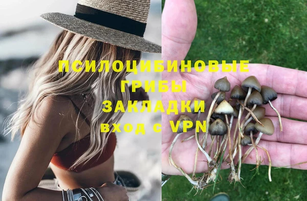 PSILOCYBIN Баксан